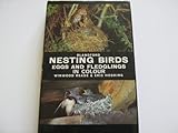 Nesting birds : eggs and fledglings