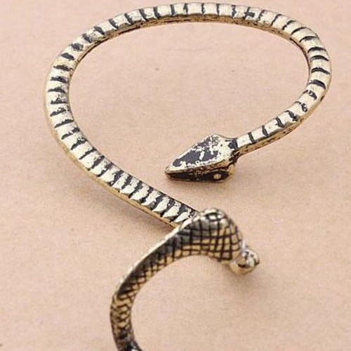 Retro Exaggerated Punk Rock Snake Wrapped Earrings Earrings Ear Hook Earrings (Copper)