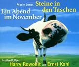 Steine in den Taschen. Ein Abend im November. 4 Audio-CDs.