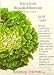 Escarole Broadleaf Batavian Heirloom Seeds 250 Seeds