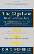 GigaLaw Guide to Internet Law