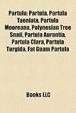 Partula: Partula Taeniata, Partula Mooreana, Polynesian Tree Snail, Partula Aurantia, Partula Clara, Partula Turgida, Fat Guam