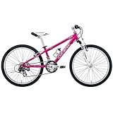 09CKm LGS-J24 [YsN(ROSE PINK) 300mm(C-T)
