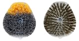 Carrand Outdoor 97110 3 in 1 Surface Brush