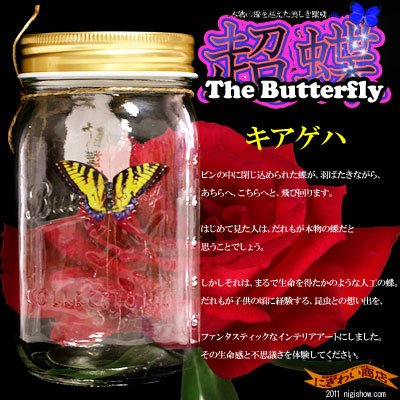 Chou Chou Electronic Butterfly in a Jar (Yellow Swallowtail)