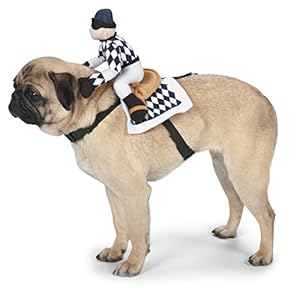 Zack & Zoey Show Jockey Saddle Dog Costume, Medium
