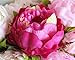 hilingo 1 Bunch Hight Quality Fake Peony Artificial Flower Bouquet Home Office Decor Fushia