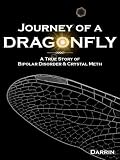 Journey of a Dragonfly: A True Story of Bipolar Disorder & Crystal Meth