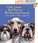 Little Lions, Bull Baiters & Hunting Hounds: A History of Dog Breeds