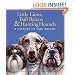 Little Lions, Bull Baiters & Hunting Hounds: A History of Dog Breeds