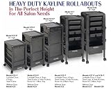 Kayline K39 Rollabout 39