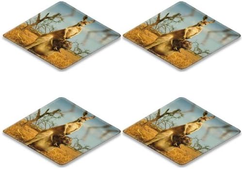 Animal Australia Kangaroo Baby Mammal Nature Square Coaster (4 Piece) Set Fabric Rubber 5 Inch Size Liil Coaster Cup Mug Can Water Bottle Drink Coasters Stain Resistance Collector Kit Kitchen Table Top Desk
