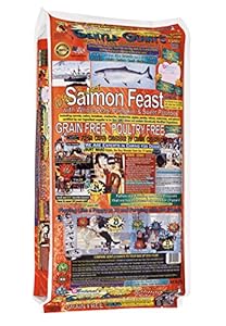 Gentle Giants Medium Natural Dog Food Grain Free with Salmon, Fruits, Vegetables, Vitamins and Minerals, 18 lb