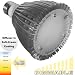 ecoBrites Dimmable 7x1w Hi-Performance PAR30 LED light (replacing 60w incandescent/halogen PAR30L). Warm White (2700k) Soft "Flood" Light Output in 120-degree Wide Angle Beam Spread with Soft-Cream Coating Diffuser Built-in
