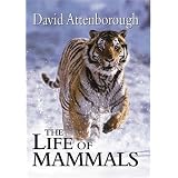The Life of Mammals