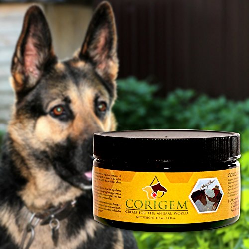 4 oz. Corigem Balm Pet Wound, Itch, and Infection Skin Care Great