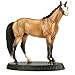 American Quarter Horse Best in Show