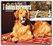For the Love of Golden Retrievers 2016 Calendar