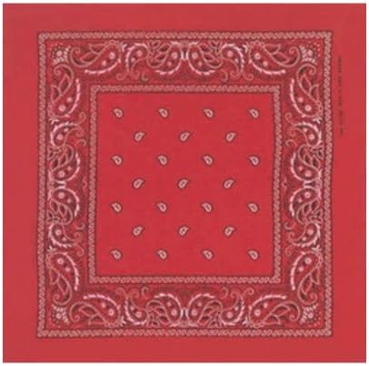 Dozen Double Sided Red Paisley Bandannas