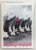 TRICKY WAGON [DVD]
