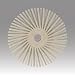 Scotch-Brite Radial Bristle Disc Thin Bristle, 35000 rpm, 1" Diameter, 120 Grit, White (Pack of 24)