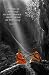 Happiness is the Way (Buddha) Art Poster Print - 24