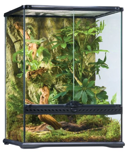 Exo Terra PT2662 Rainforest Habitat Kit M Preisvergleich