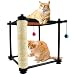 Kitty City Lookout