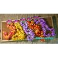 12 Hawaiian Ruffled Simulated Silk Flower Leis (1 Doz)