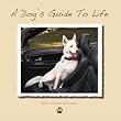 A Dog's Guide to Life