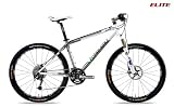 2010予約特典付【ルイガノ】(LGS-XC ELITE) マウンテンバイク 420mm