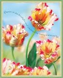 51lX77S5zDL. SL160  Floral Expressions 16 Month 2010 Pocket Wall Calendar