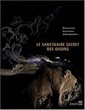Le sanctuaire secret des bisons : Il y a 14 000 ans, dans la caverne du Tuc d'Audoubert