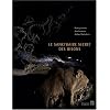 Le sanctuaire secret des bisons : Il y a 14 000 ans, dans la caverne du Tuc d'Audoubert