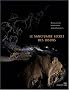 Le sanctuaire secret des bisons : Il y a 14 000 ans, dans la caverne du Tuc d'Audoubert