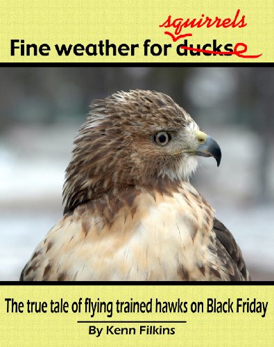 Fine Day For Squirrels