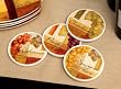 Vintage Vines Absorbent Coasters - Set of 4