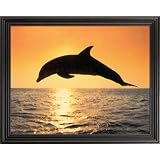 Dolphin Tropical Ocean Sunset Fish Animal Wildlfe Picture Black Framed Art Print by Art Prints Inc