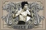 Bruce Lee (Dragons) Movie Poster Print - 24