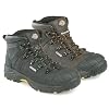 Dickies Oxford Safety Shoes, Black