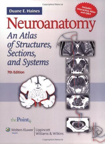 By Duane E. Haines: Neuroanatomy: An Atlas of Structures, Sections, and Systems (Point (Lippincott Williams & Wilkins)) Seventh (7th) Edition