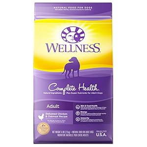 Wellness Complete Health Chicken & Oatmeal Natural Dry Dog Food, 5-Pound Bag