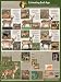 Selective Buck Harvest Poster