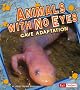 Animals with No Eyes: Cave Adaptation (Fact Finders: Extreme Life)