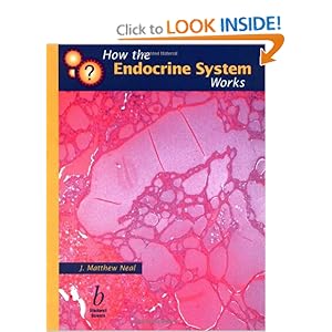 How the Endocrine System Works: 9780632045563: Medicine & Health