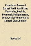 Veneridae: Grooved Carpet Shell, Hard Clam, Veneridae, Dosinia, Venerupis Philippinarum, Venus, Chione Cancellata, Smooth Clam, C-