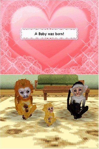 Petz Monkeyz House