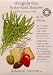 Wild Arugula Certified Organic Heirloom Seeds 250 Seeds