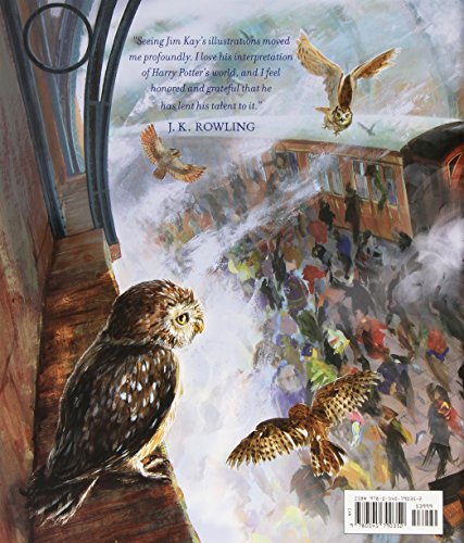 Harry-Potter-and-the-Sorcerers-Stone-The-Illustrated-Edition-Harry-Potter-Book-1