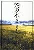 茨の木